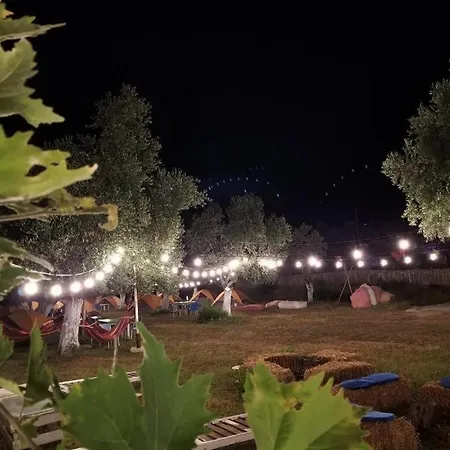 مكان تخييم Global Albania Trip Hosting Service Natyralitet
